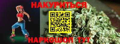 крисы Новодвинск
