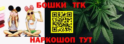крисы Новодвинск